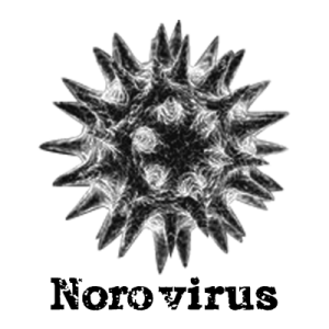 ノロウイルス